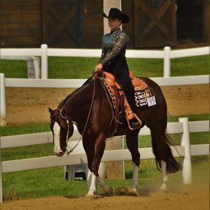 Meet your Posher, Tegan